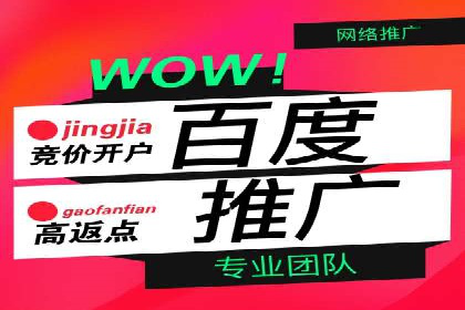 百度广告投放策略与效果评估案例